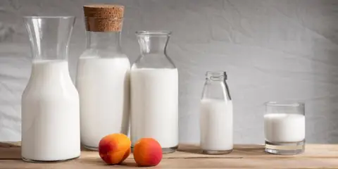 What Are the Healthiest Types of Milk?