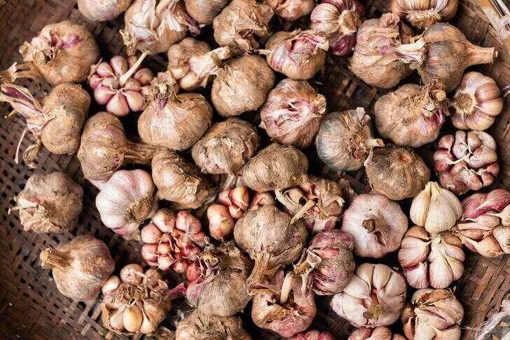 black-garlic-2