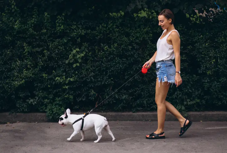 Woman walking with her pet dog