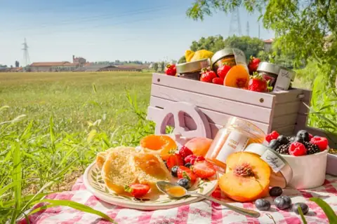 The Key Nutrients For Your Health & Where You Can Find Them