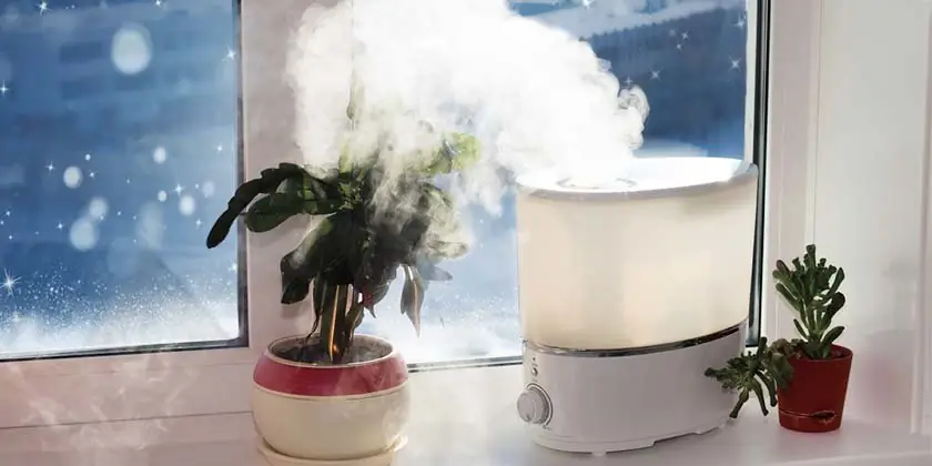 Keep the Moisture In the Air
