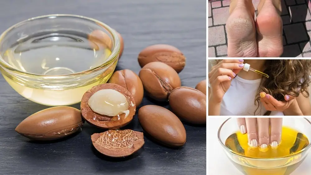 Oils