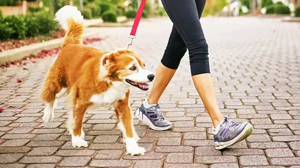 Here is a guideline on the things that you should and should not do before your surgery.